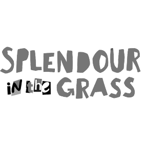 Splendour in the Grass Logo